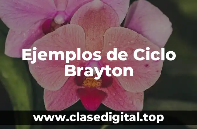 Ejemplos de Ciclo Brayton