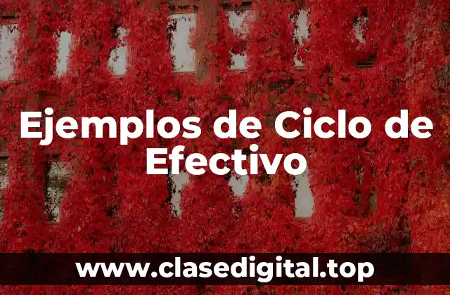 Ejemplos de Ciclo de Efectivo