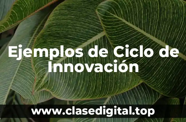 Ejemplos de Ciclo de Innovación