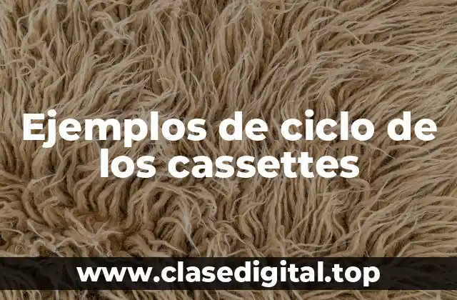 Ejemplos de ciclo de los cassettes