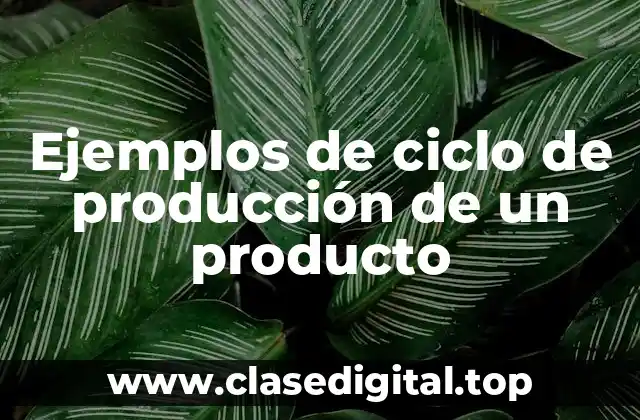 Ejemplos de ciclo de producción de un producto