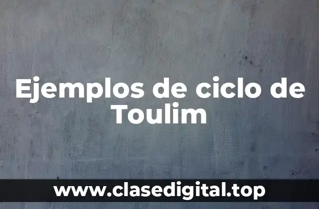 Ejemplos de ciclo de Toulim