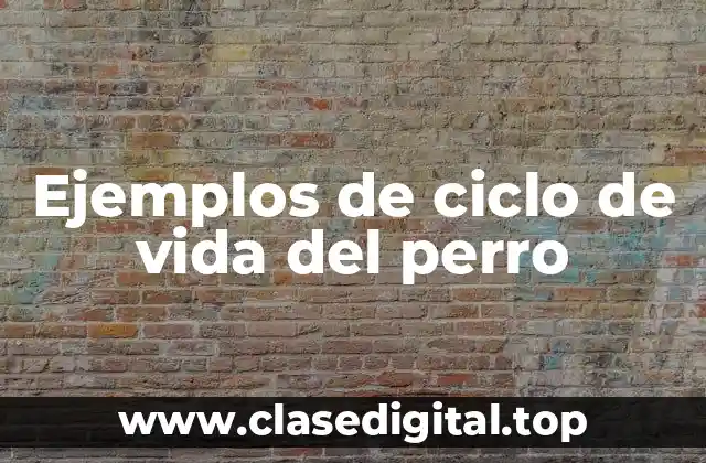 Ejemplos de ciclo de vida del perro