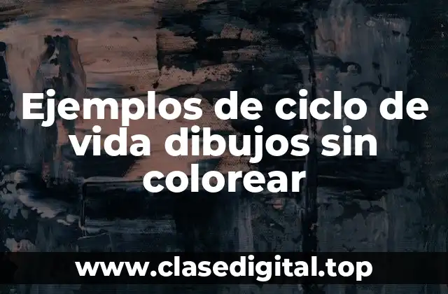 Ejemplos de ciclo de vida dibujos sin colorear
