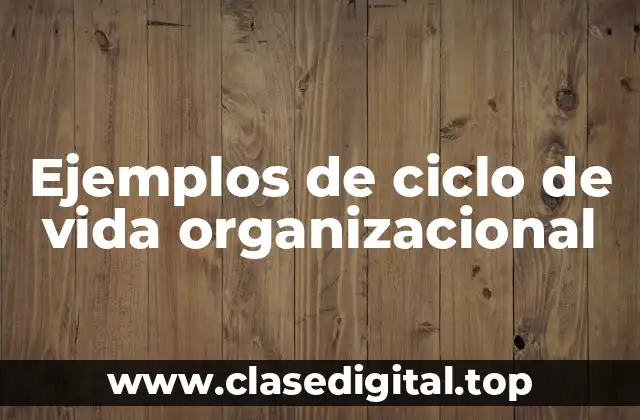 Ejemplos de ciclo de vida organizacional