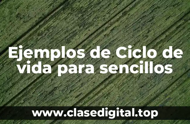 Ejemplos de Ciclo de vida para sencillos