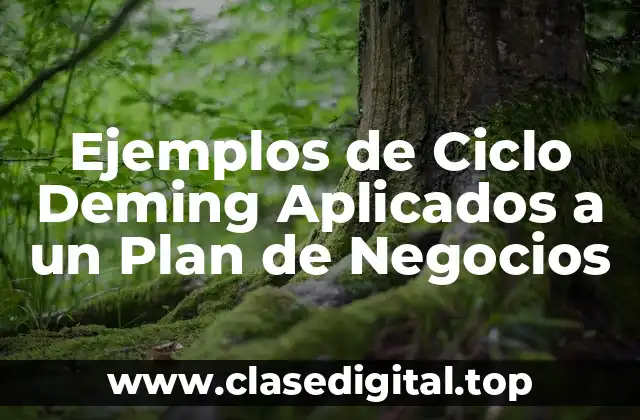 Ejemplos de Ciclo Deming Aplicados a un Plan de Negocios