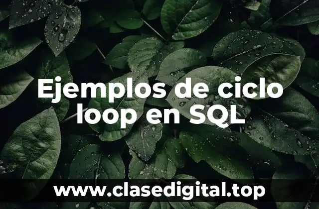 Ejemplos de ciclo loop en SQL