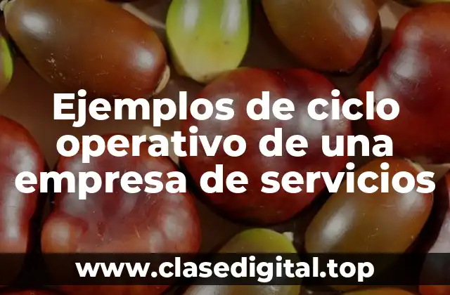 Ejemplos de ciclo operativo de una empresa de servicios