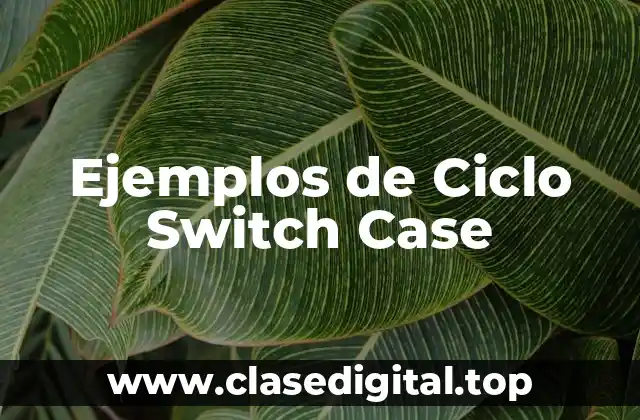 Ejemplos de Ciclo Switch Case