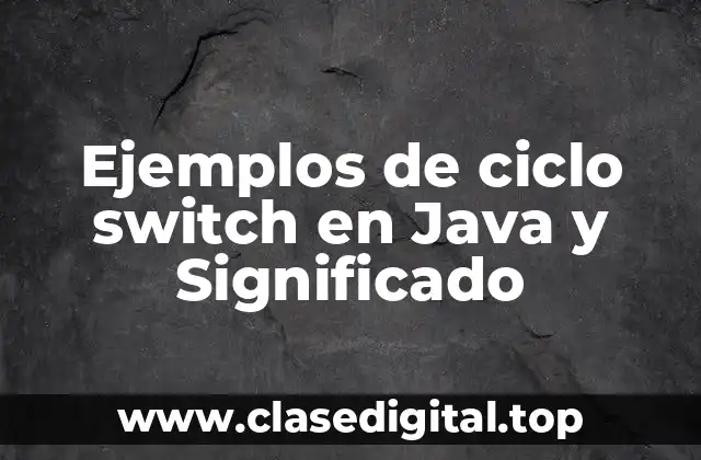 Ejemplos de ciclo switch en Java y Significado