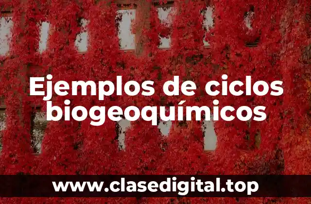 Ejemplos de ciclos biogeoquímicos