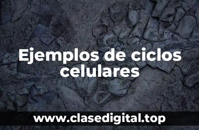 Ejemplos de ciclos celulares