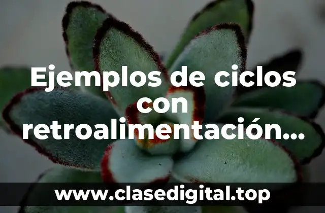 Ejemplos de ciclos con retroalimentación positiva y negativa