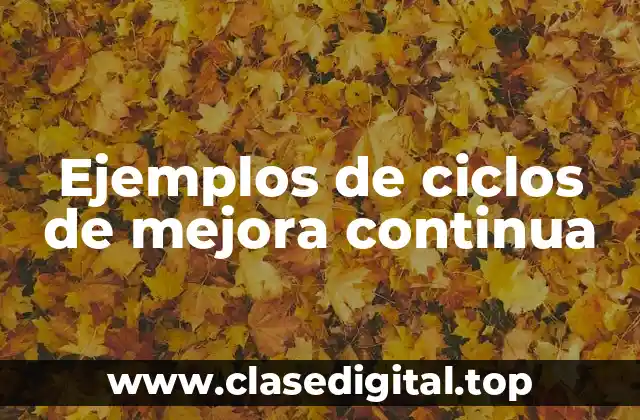 Ejemplos de ciclos de mejora continua