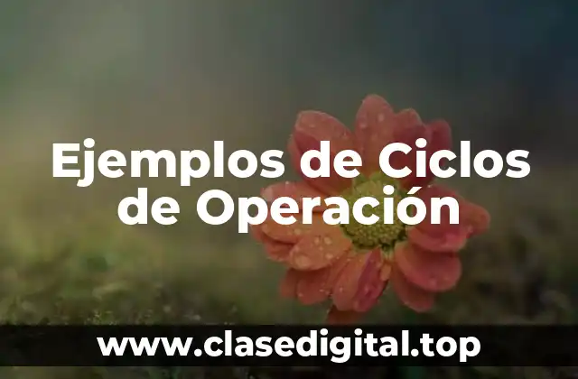 Ejemplos de Ciclos de Operación