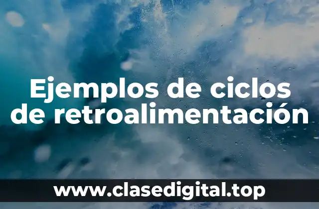 Ejemplos de ciclos de retroalimentación