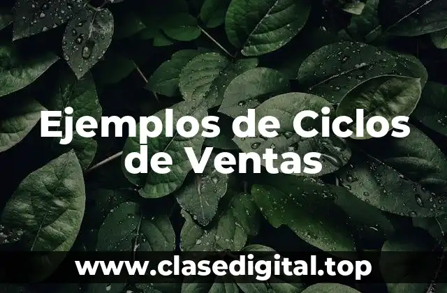 Ejemplos de Ciclos de Ventas