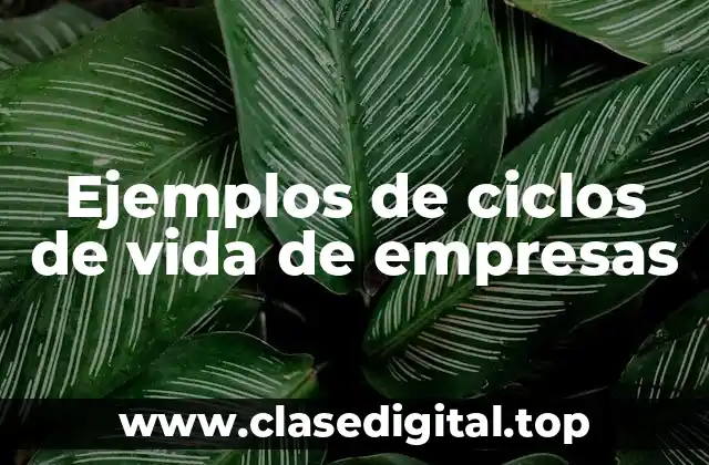 Ejemplos de ciclos de vida de empresas