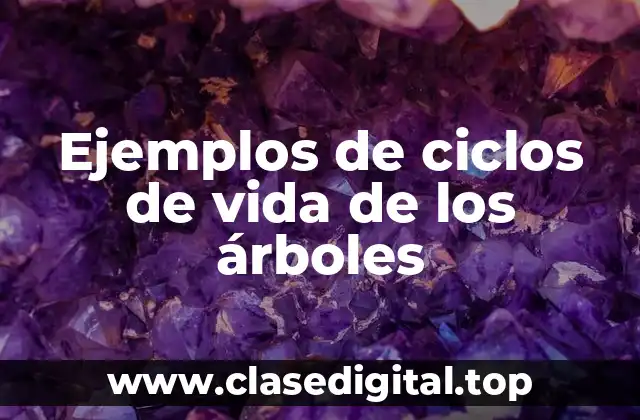 Ejemplos de ciclos de vida de los árboles