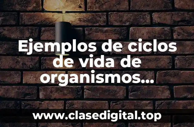 Ejemplos de ciclos de vida de organismos reproductivos por germinación