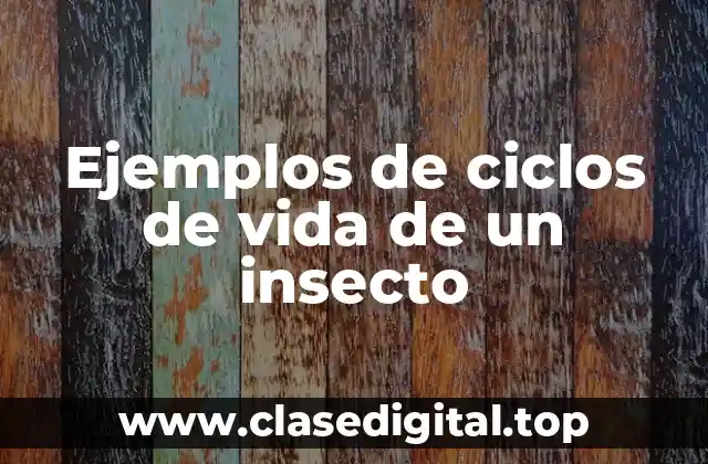 Ejemplos de ciclos de vida de un insecto