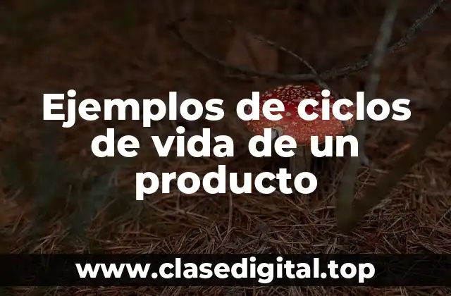 Ejemplos de ciclos de vida de un producto