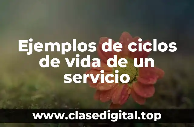 Ejemplos de ciclos de vida de un servicio