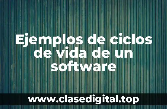 Ejemplos de ciclos de vida de un software