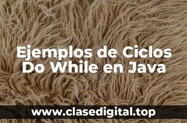 Ejemplos de Ciclos Do While en Java