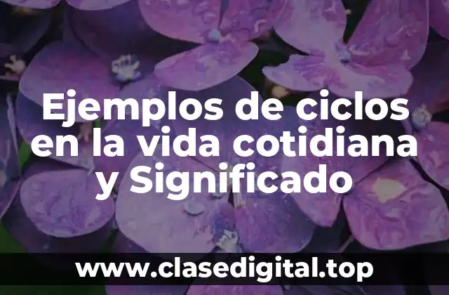 Ejemplos de ciclos en la vida cotidiana y Significado
