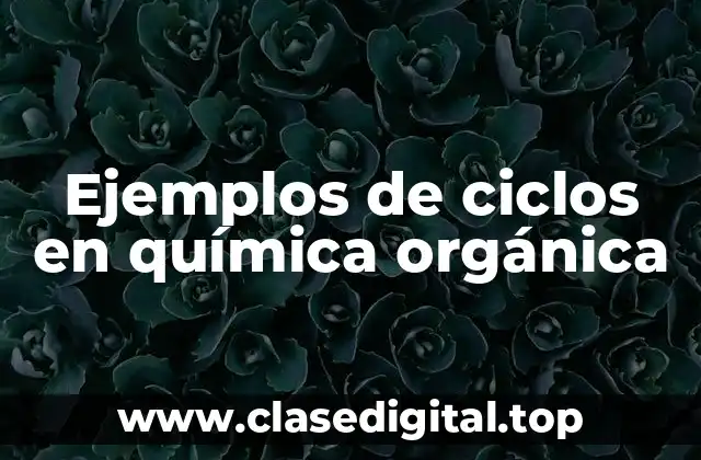 Ejemplos de ciclos en química orgánica