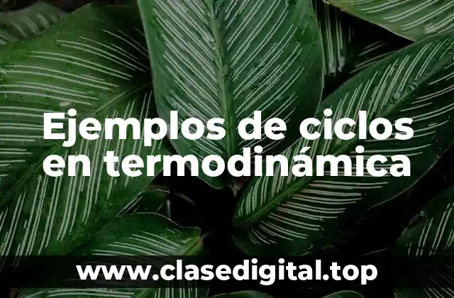Ejemplos de ciclos en termodinámica
