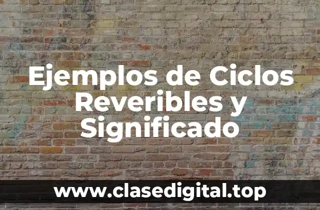 Ejemplos de Ciclos Reveribles