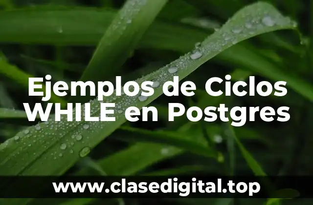 Ejemplos de Ciclos WHILE en Postgres