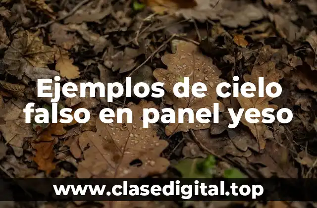 Ejemplos de cielo falso en panel yeso
