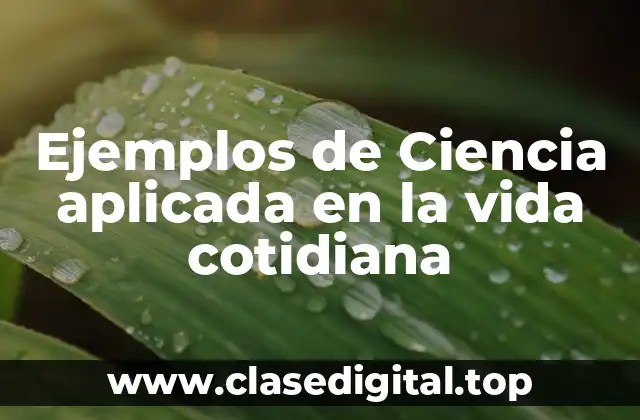 Ejemplos de Ciencia aplicada en la vida cotidiana