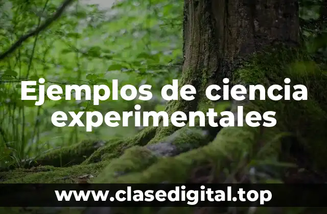Ejemplos de ciencia experimentales