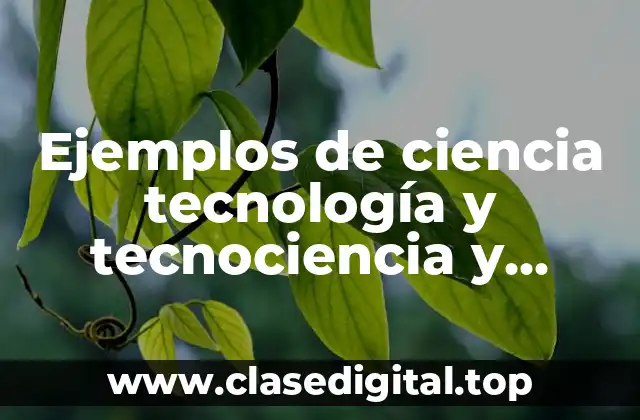 Ejemplos de ciencia tecnología y tecnociencia y Significado