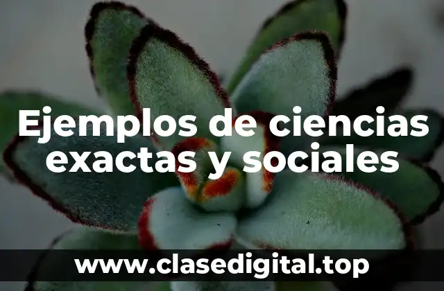Ejemplos de ciencias exactas y sociales