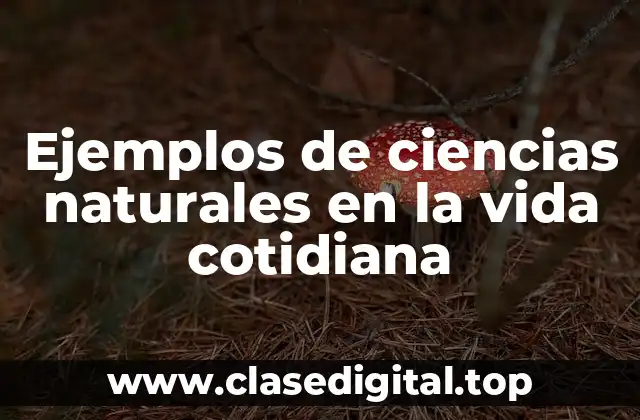 Ejemplos de ciencias naturales en la vida cotidiana