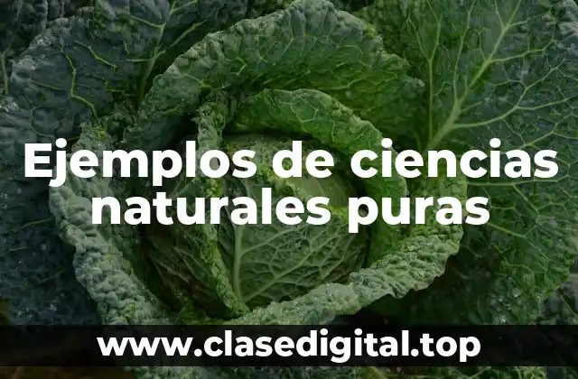 Ejemplos de ciencias naturales puras