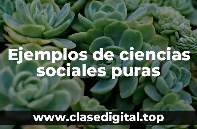 Ejemplos de ciencias sociales puras