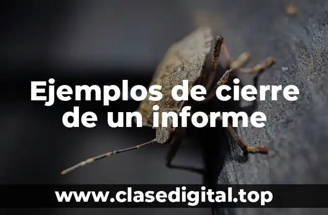 Ejemplos de cierre de un informe