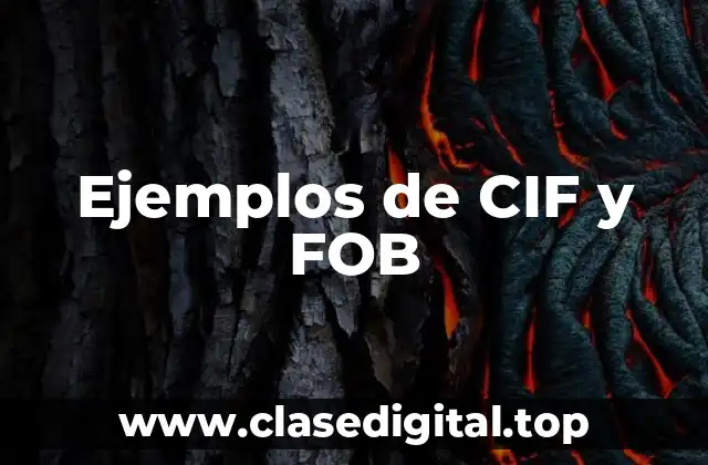 Ejemplos de CIF y FOB