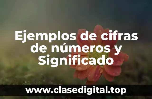 Ejemplos de cifras de números y Significado