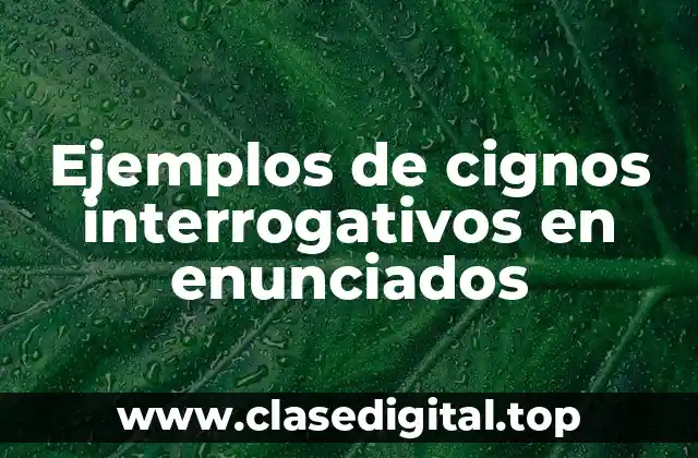 Ejemplos de cignos interrogativos en enunciados
