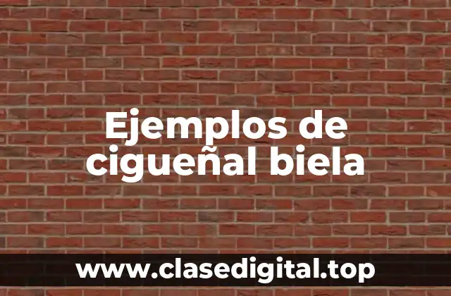 Ejemplos de cigueñal biela