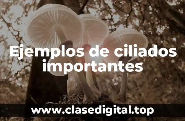 Ejemplos de ciliados importantes