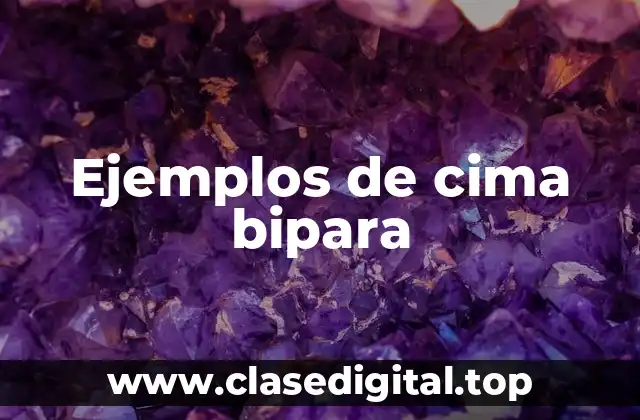 Ejemplos de cima bipara